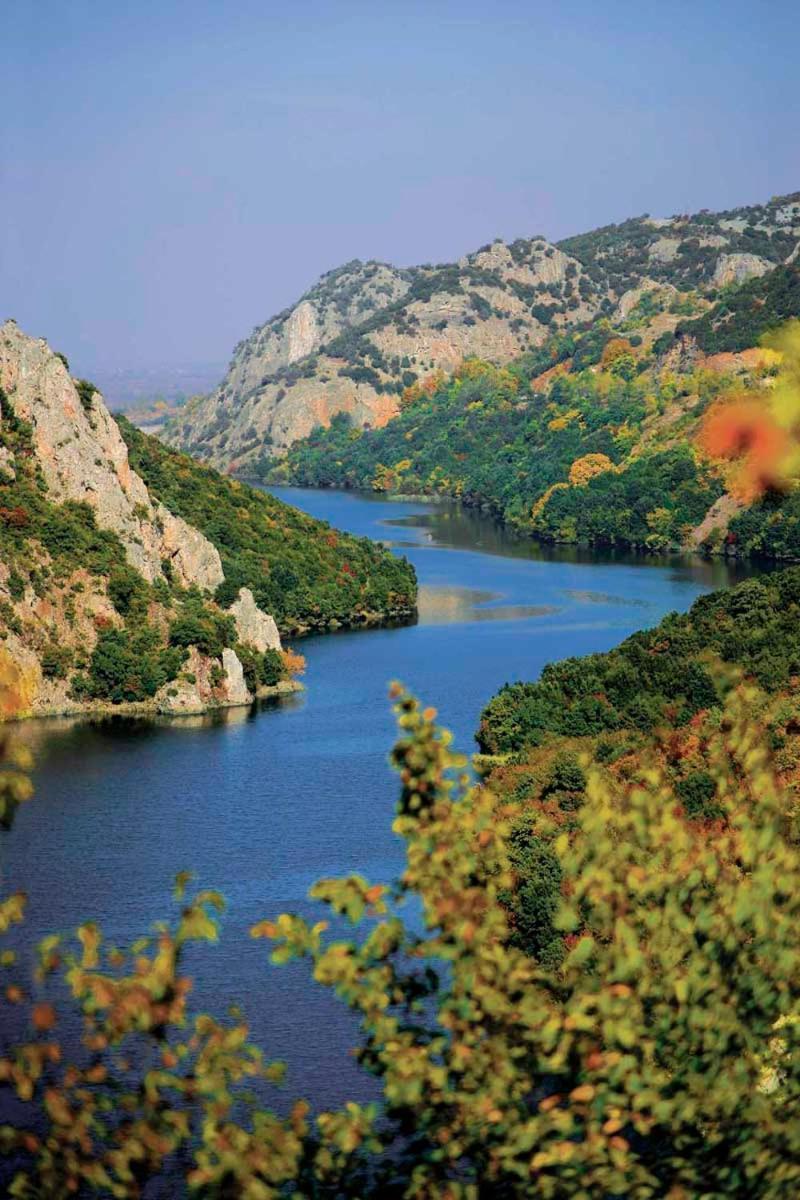Εσπερίδες Naousa (Imathia) Zewnętrze zdjęcie